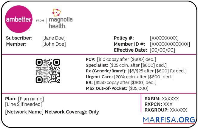Blank Mississippi health insurance card sample